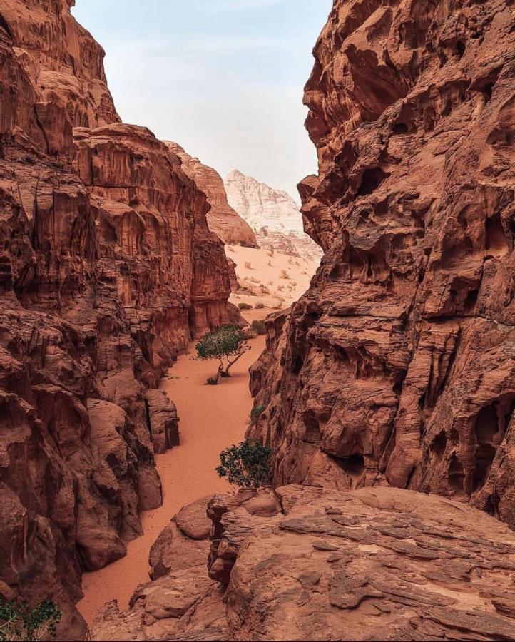 Wadi Rum Camp ภายนอก รูปภาพ