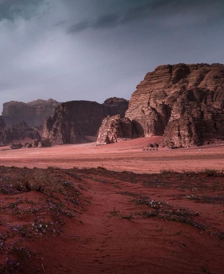 Wadi Rum Camp ภายนอก รูปภาพ