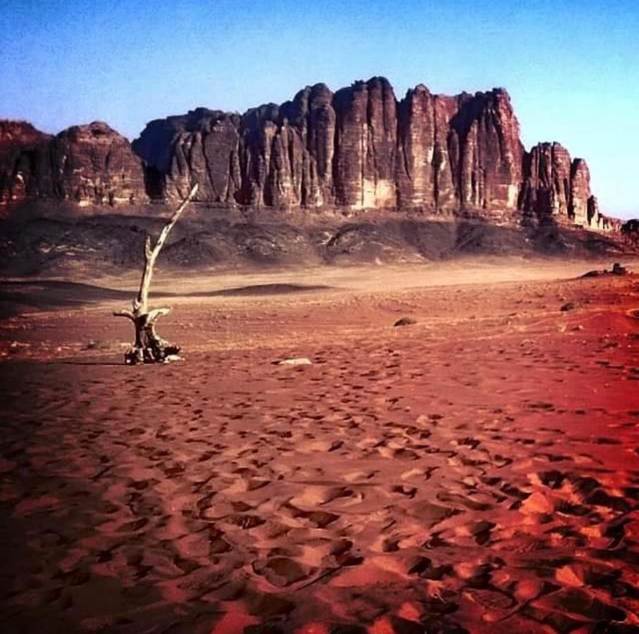 Wadi Rum Camp ภายนอก รูปภาพ
